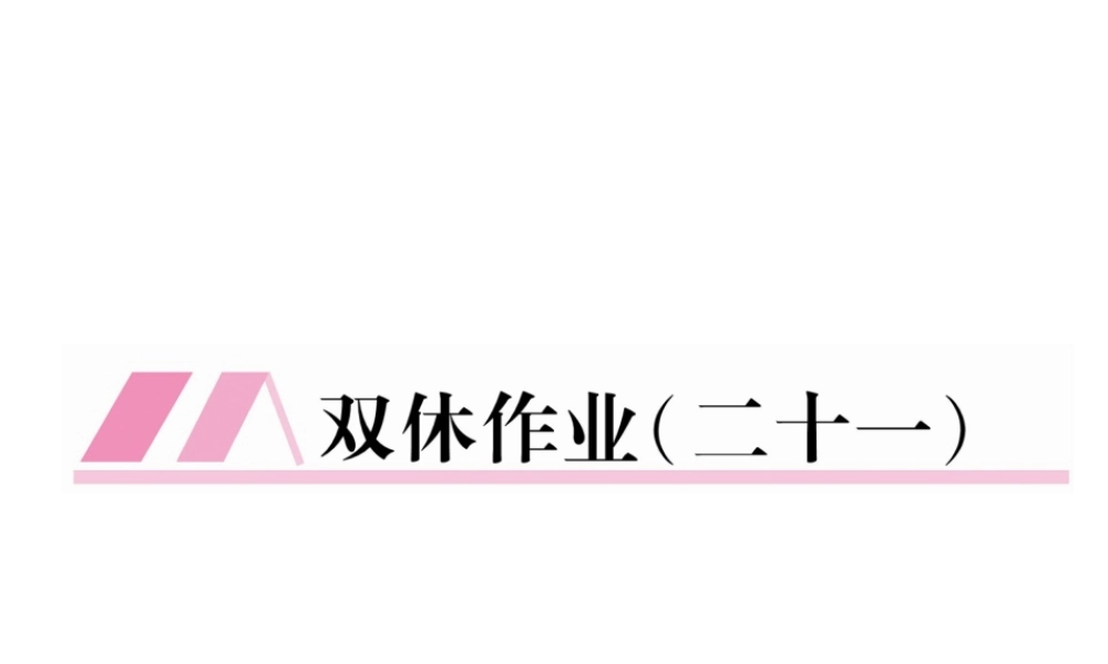 （云南专版）九年级语文下册 双休作业二十一课件 新人教版-新人教版初中九年级下册语文课件