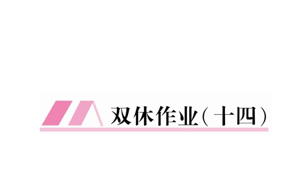 （云南专版）九年级语文下册 双休作业十四课件 新人教版-新人教版初中九年级下册语文课件