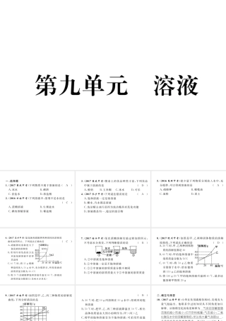 （云南专版）中考化学总复习 第一编 第9单元 溶液（精练）课件-人教版初中九年级全册化学课件