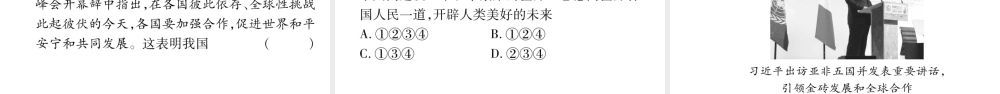 安徽省中考道德与法治总复习 九下 第2单元 世界舞台上的中国 第4课 与世界共发展考点突破课件-人教版初中九年级全册政治课件