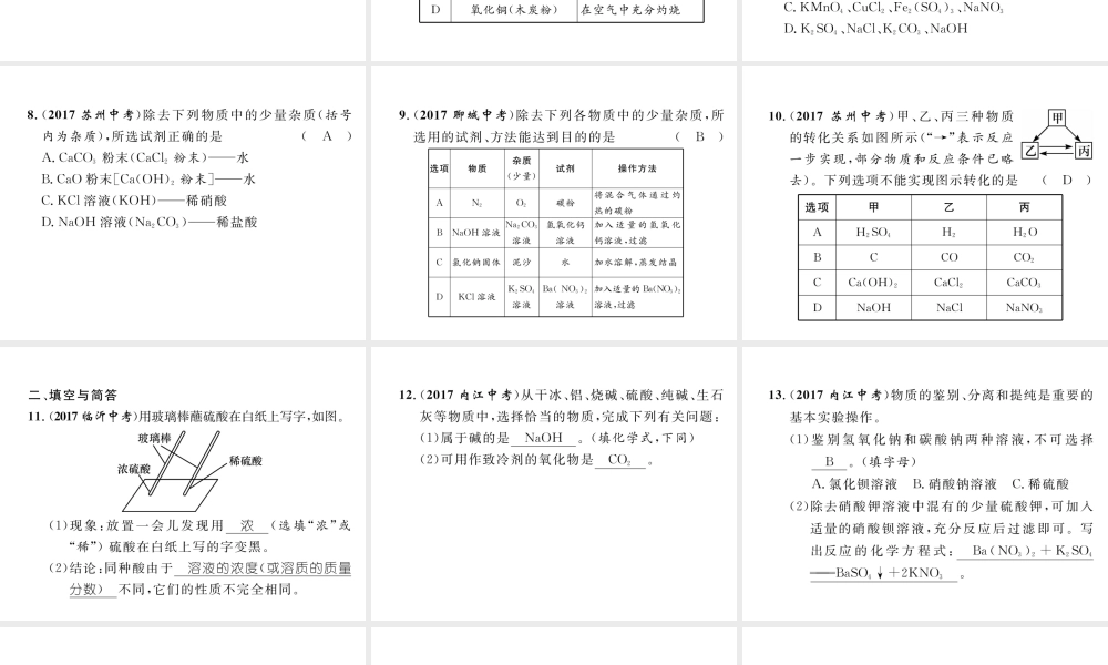 （云南专版）中考化学总复习 第一编 第10单元 酸和碱（精练）课件-人教版初中九年级全册化学课件