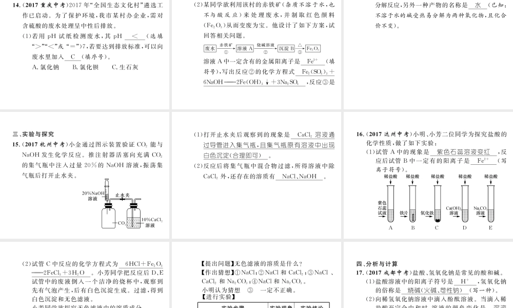 （云南专版）中考化学总复习 第一编 第10单元 酸和碱（精练）课件-人教版初中九年级全册化学课件