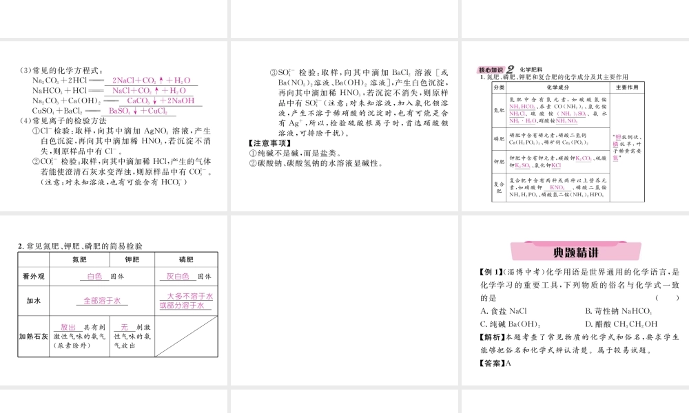 （云南专版）中考化学总复习 第一编 第11单元 盐 化肥（精讲）课件-人教版初中九年级全册化学课件