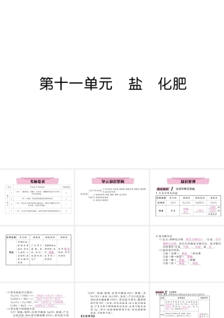 （云南专版）中考化学总复习 第一编 第11单元 盐 化肥（精讲）课件-人教版初中九年级全册化学课件