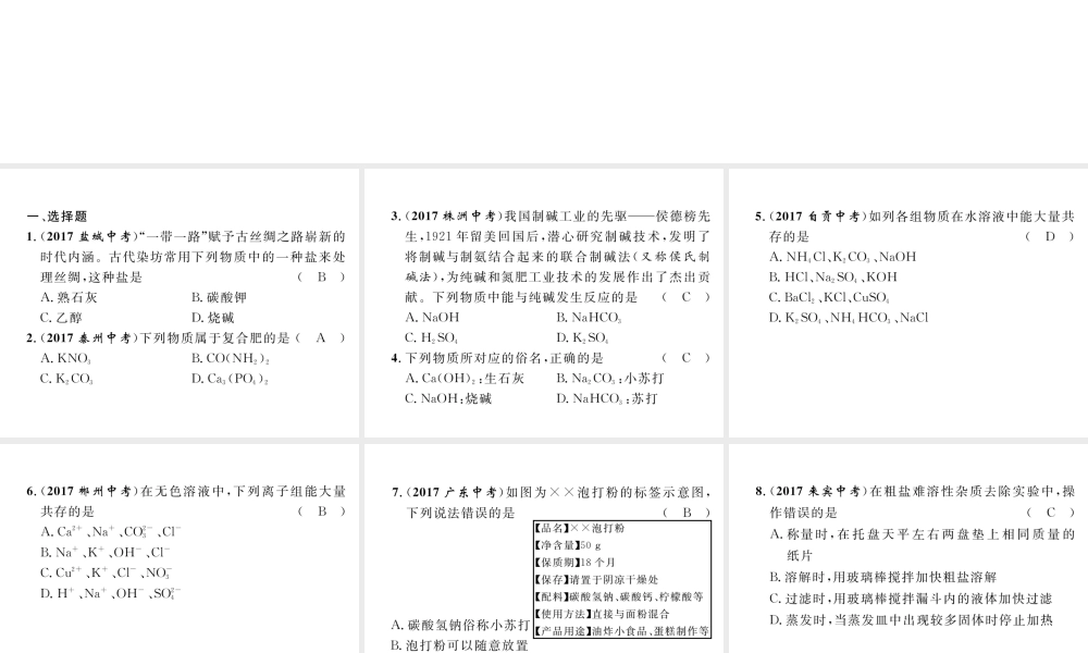 （云南专版）中考化学总复习 第一编 第11单元 盐 化肥（精练）课件-人教版初中九年级全册化学课件