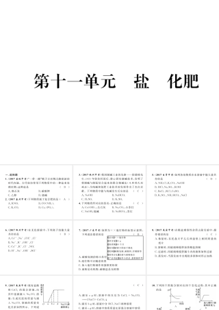 （云南专版）中考化学总复习 第一编 第11单元 盐 化肥（精练）课件-人教版初中九年级全册化学课件