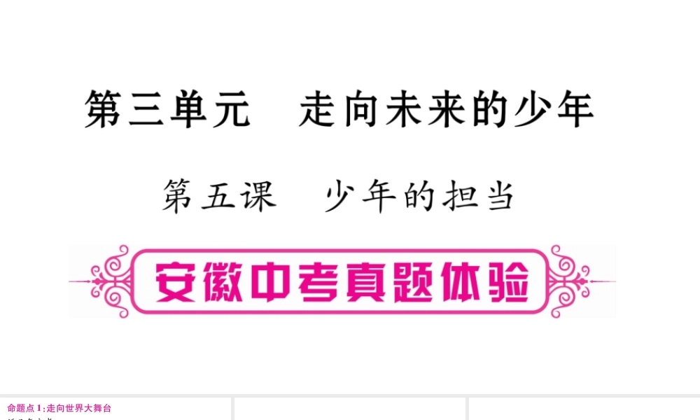安徽省中考道德与法治总复习 九下 第3单元 走向未来的少年 第5课 少年的担当考点突破课件-人教版初中九年级全册政治课件