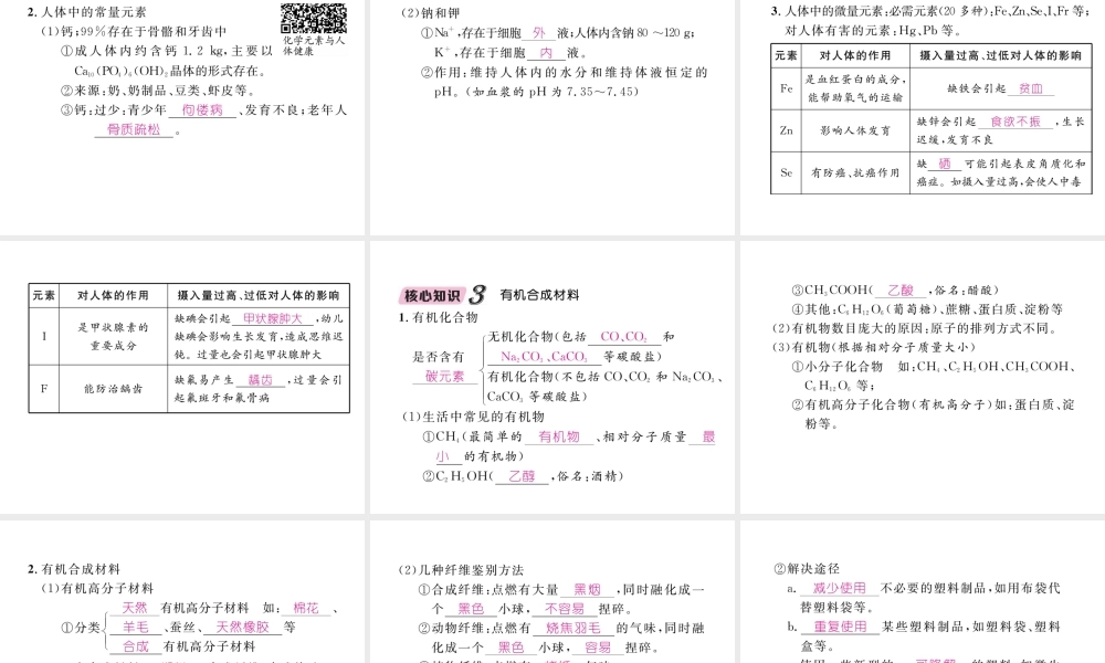 （云南专版）中考化学总复习 第一编 第12单元 化学与生活（精讲）课件-人教版初中九年级全册化学课件