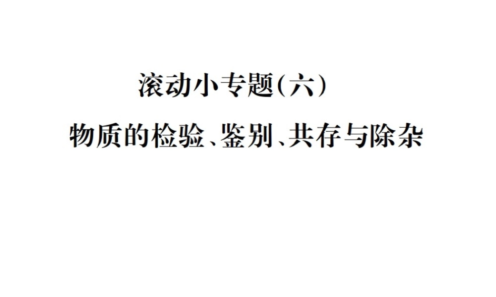 （云南专版）中考化学总复习 滚动小专题（六）物质的检验、鉴别、共存与除杂课件-人教版初中九年级全册化学课件