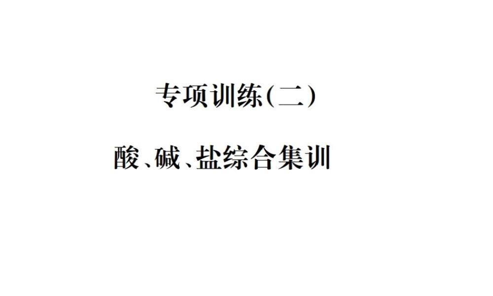 （云南专版）中考化学总复习 教材考点梳理 专项训练（二）酸、碱、盐综合集训课件-人教版初中九年级全册化学课件