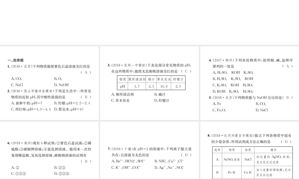 （云南专版）中考化学总复习 教材考点梳理 专项训练（二）酸、碱、盐综合集训课件-人教版初中九年级全册化学课件
