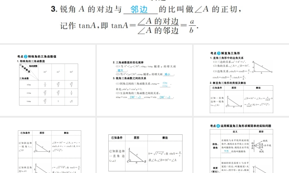 安徽省中考数学总复习 第一部分 系统复习 成绩基石 第四章 三角形 第19讲 锐角三角函数课件-人教版初中九年级全册数学课件