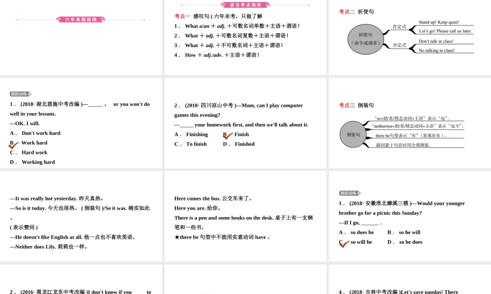 安徽省中考英语总复习 语法专项复习 语法十二 特殊句型课件-人教版初中九年级全册英语课件