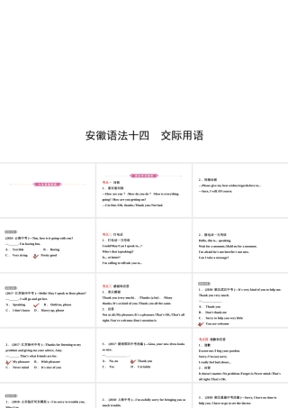 安徽省中考英语总复习 语法专项复习 语法十四 交际用语课件-人教版初中九年级全册英语课件