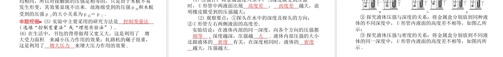 安徽省中考物理一轮复习 第七章 压强课件-人教版初中九年级全册物理课件