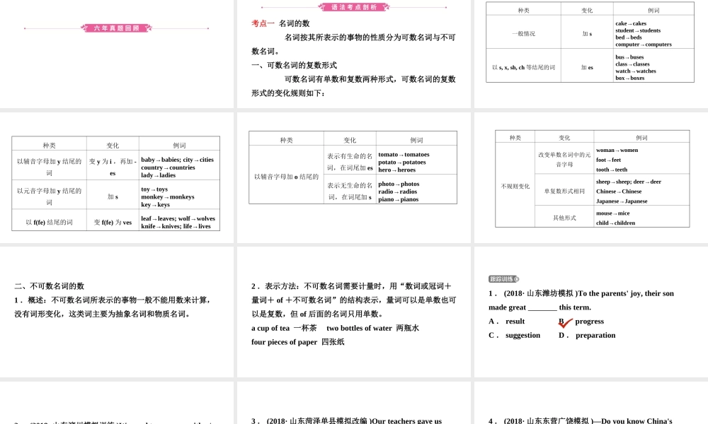 安徽省中考英语总复习 语法专项复习 语法四 名词课件-人教版初中九年级全册英语课件