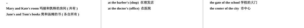 安徽省中考英语总复习 语法专项复习 语法四 名词课件-人教版初中九年级全册英语课件