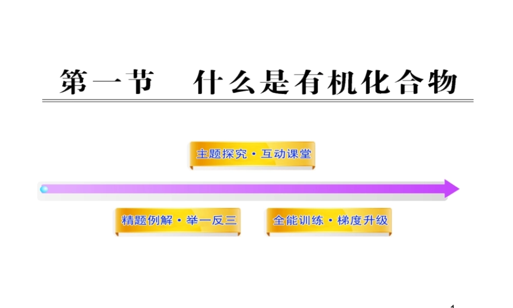 安徽省池州一中九年级化学全册《8.1 什么是有机化合物》课件 沪教版