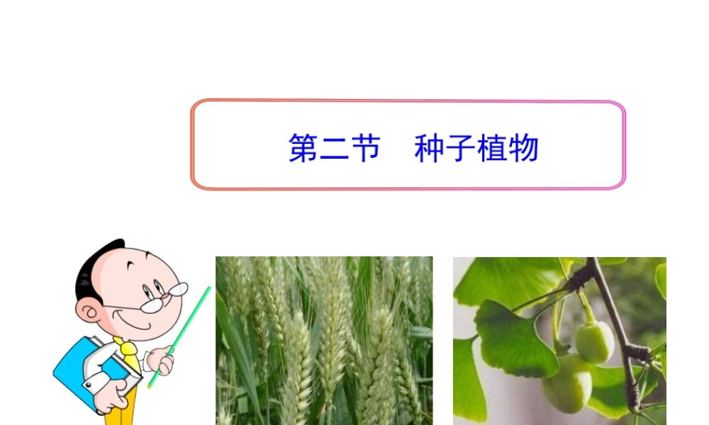 安徽省池州一中七年级生物上册《第三单元 第一章 第二节 种子植物》课件 新人教版
