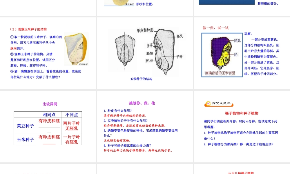 安徽省池州一中七年级生物上册《第三单元 第一章 第二节 种子植物》课件 新人教版