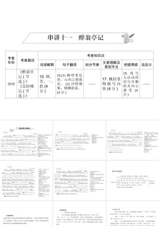 安徽省中考语文 第二部分 文言文阅读 专题一 文言文阅读串讲 串讲十一 醉翁亭记复习课件-人教版初中九年级全册语文课件