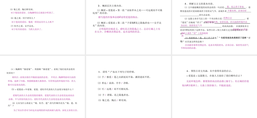 安徽省中考语文 第二部分 文言文阅读 专题一 文言文阅读串讲 串讲四 爱莲说复习课件-人教版初中九年级全册语文课件