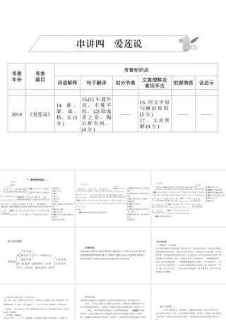 安徽省中考语文 第二部分 文言文阅读 专题一 文言文阅读串讲 串讲四 爱莲说复习课件-人教版初中九年级全册语文课件