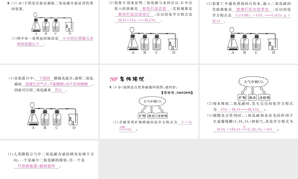 （云南专版）秋九年级化学上册 第6单元 碳和碳的氧化物 课题3 二氧化碳和一氧化碳 第1课时 二氧化碳习题课件 （新版）新人教版-（新版）新人教版初中九年级上册化学课件