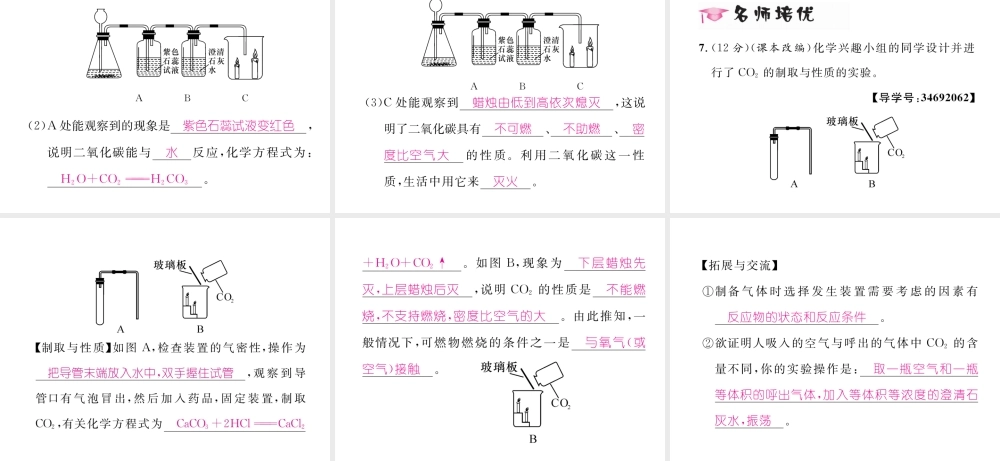 （云南专版）秋九年级化学上册 第6单元 碳和碳的氧化物 实验活动2 二氧化碳的实验室制取与性质习题课件 （新版）新人教版-（新版）新人教版初中九年级上册化学课件