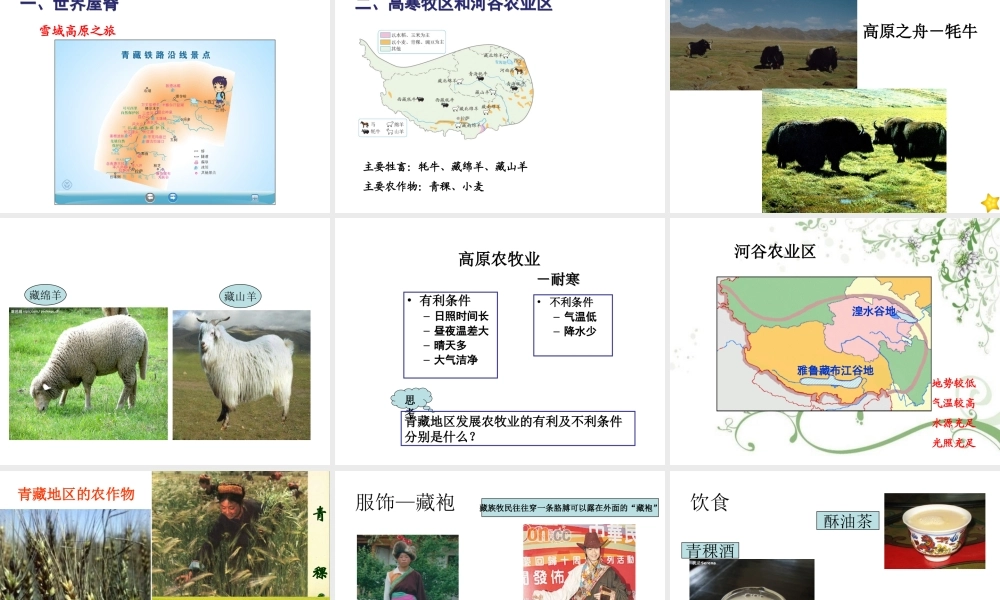 安徽省滁州二中八年级地理下册 第九章 第一节 青藏地区自然特征和农业课件 （新版）新人教版