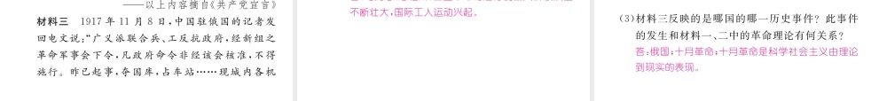 （云南专版）中考历史复习 第一部分 教材知识速查 模块5 世界近代史 第2讲 殖民地人民的抗争与无产阶级的斗争课件-人教版初中九年级全册历史课件