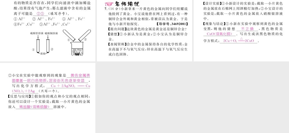 （云南专版）秋九年级化学下册 第八单元 金属和金属材料 实验活动4 金属的物理性质和化学性质习题课件 （新版）新人教版-（新版）新人教版初中九年级下册化学课件