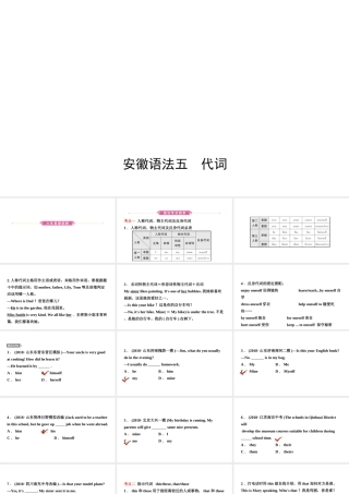 安徽省中考英语总复习 语法专项复习 语法五 代词课件-人教版初中九年级全册英语课件