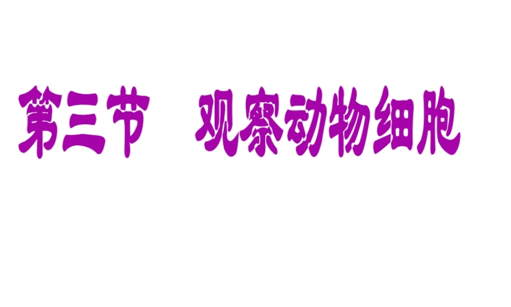 安徽省安庆市第九中学七年级生物上册《观察动物细胞》课件 新人教版