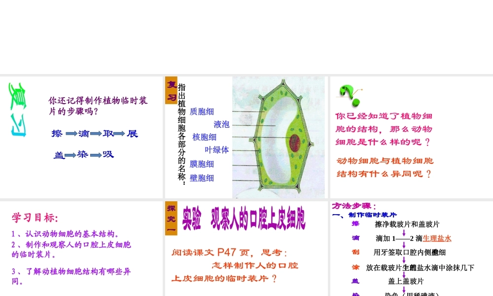 安徽省安庆市第九中学七年级生物上册《观察动物细胞》课件 新人教版