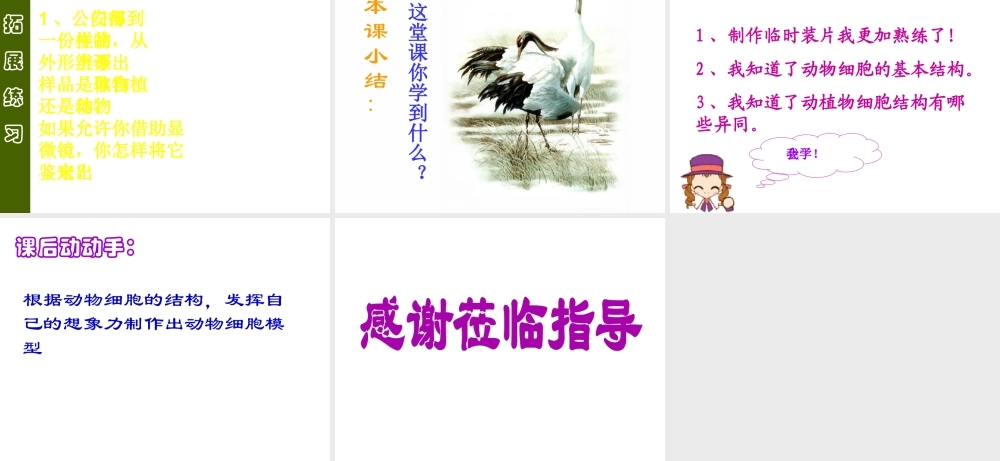 安徽省安庆市第九中学七年级生物上册《观察动物细胞》课件 新人教版
