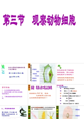 安徽省安庆市第九中学七年级生物上册《观察动物细胞》课件 新人教版
