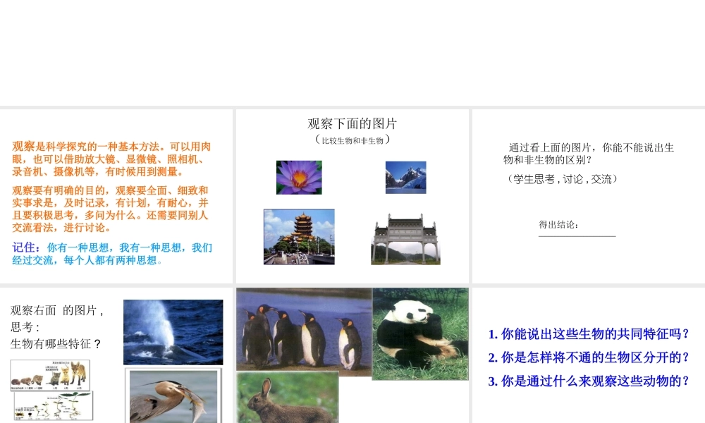 安徽省安庆市第九中学七年级生物上册《生物的特征及分类》课件 新人教版