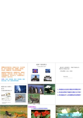 安徽省安庆市第九中学七年级生物上册《生物的特征及分类》课件 新人教版