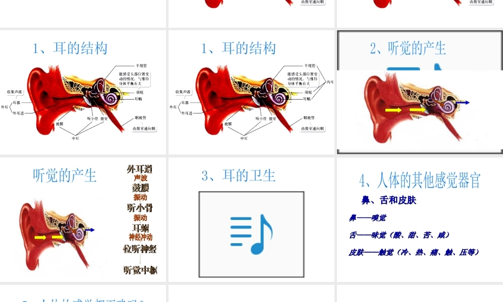 安徽省滁州二中七年级生物下册《6.1 人体对外界环境的感知-眼和视觉》课件（新版）新人教版