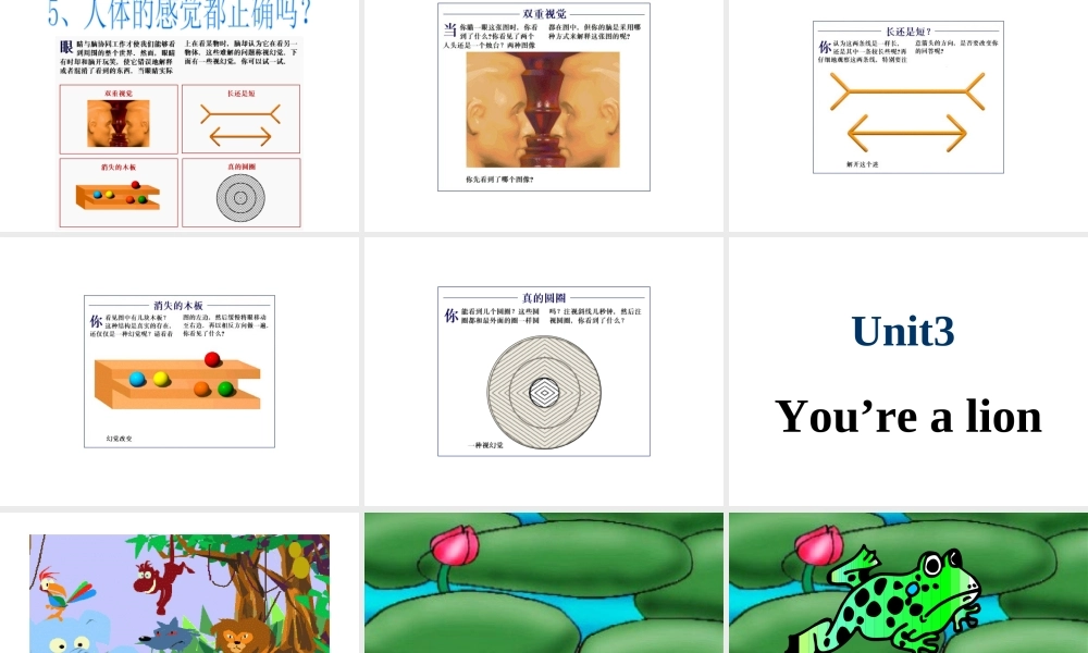 安徽省滁州二中七年级生物下册《6.1 人体对外界环境的感知-眼和视觉》课件（新版）新人教版