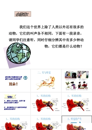 安徽省滁州二中七年级生物下册《6.1 人体对外界环境的感知-眼和视觉》课件（新版）新人教版