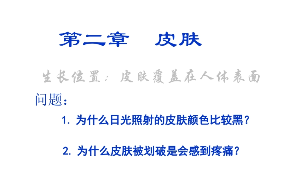 安徽省滁州二中七年级生物下册《第二章 皮肤》课件 苏教版