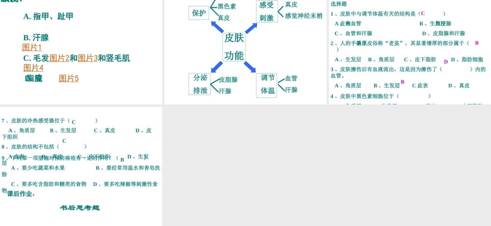 安徽省滁州二中七年级生物下册《人体汗液的形成和排出》课件 苏教版