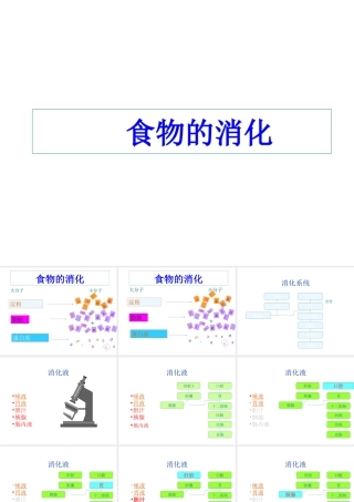 安徽省滁州二中七年级生物下册《食物的消化》课件 苏教版