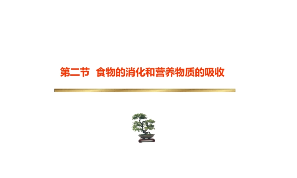 安徽省滁州二中七年级生物下册《食物的消化和营养物质的吸收》课件 苏教版