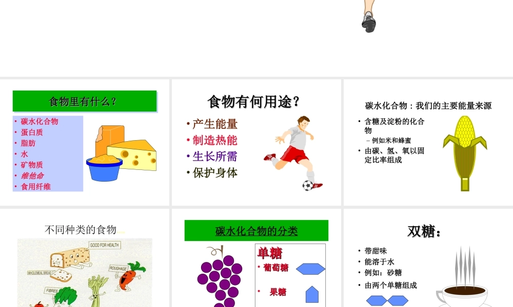 安徽省滁州二中七年级生物下册《食物与健康》课件 苏教版