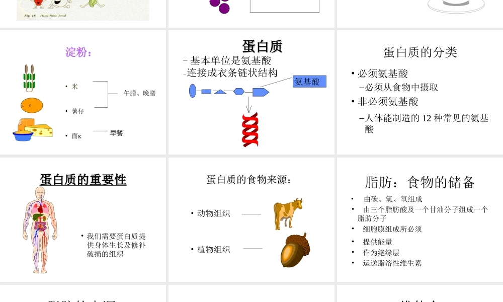 安徽省滁州二中七年级生物下册《食物与健康》课件 苏教版