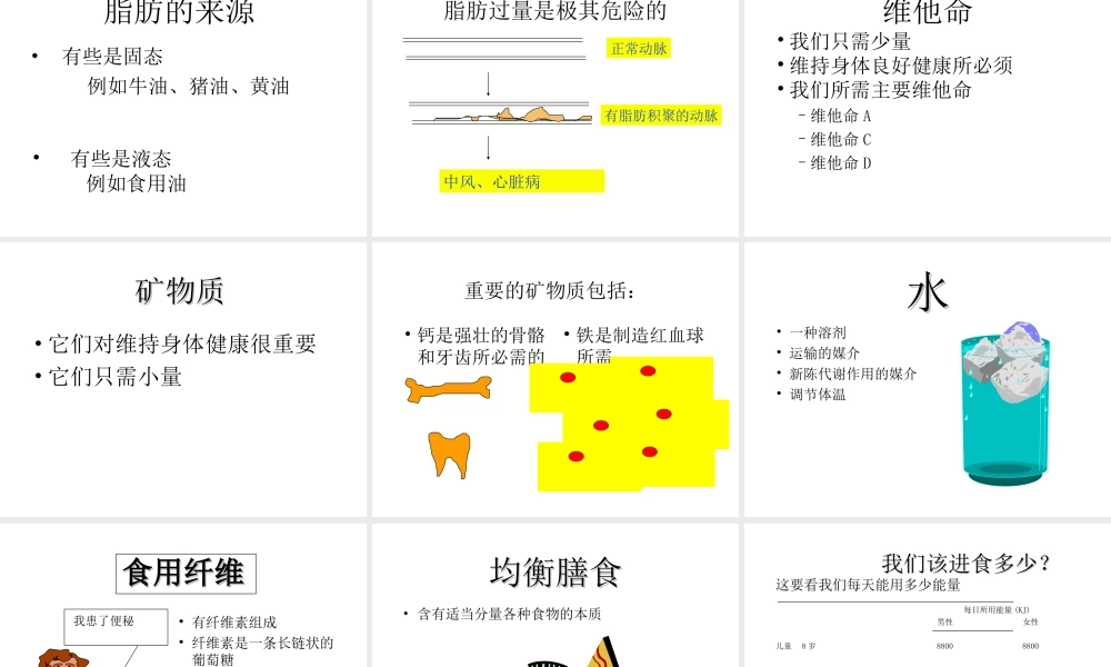 安徽省滁州二中七年级生物下册《食物与健康》课件 苏教版