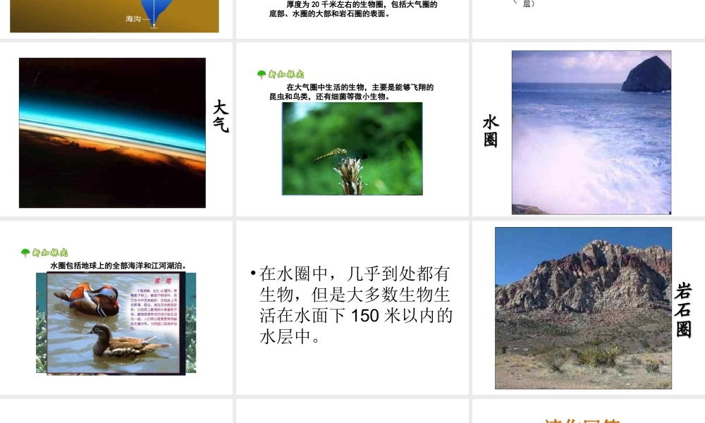 安徽省安庆市第九中学七年级生物上册《生物圈》课件 新人教版